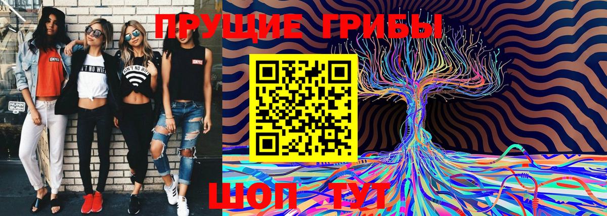 Галлюциногенные грибы мицелий  Вход с VPN  как найти   Обнинск 