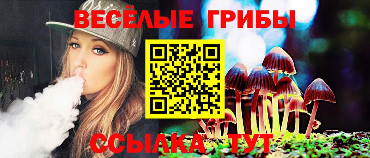 Галлюциногенные грибы Cubensis Обнинск